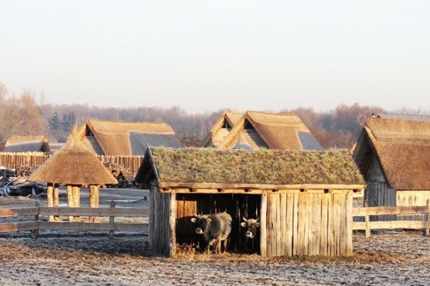 Freilichtlabor Lauresham