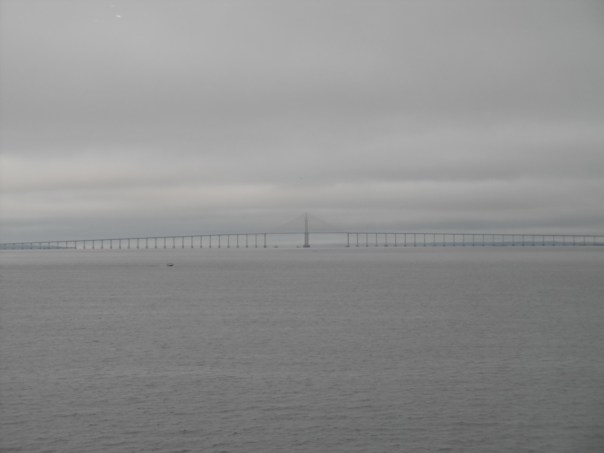 Manaus 1 Amazonasbrücke