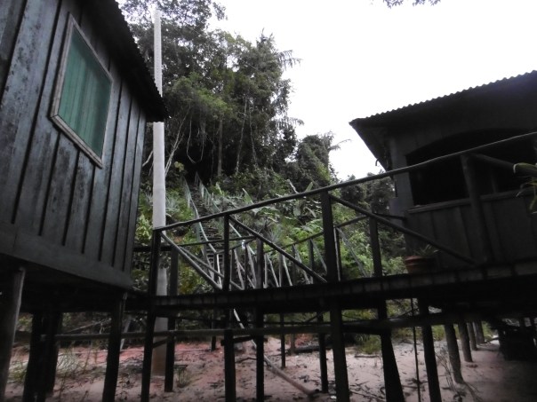 Manaus 7 in den Regenwald